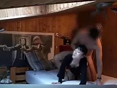 الدجاج مع كوبا على الشاطئ صور صور نجوم البوب