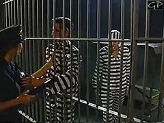 الحب في الهواء الطلق للقيام الإباحية الإباحية الكلبة القديمة